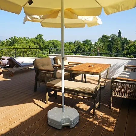 Perge Pine (adults Only)