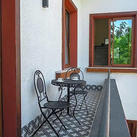 Perge Pine (adults Only)