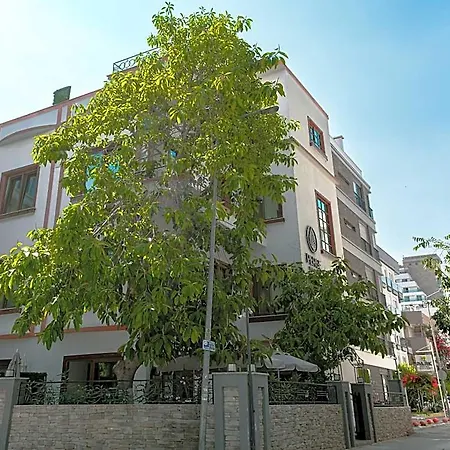 Perge Pine (adults Only)