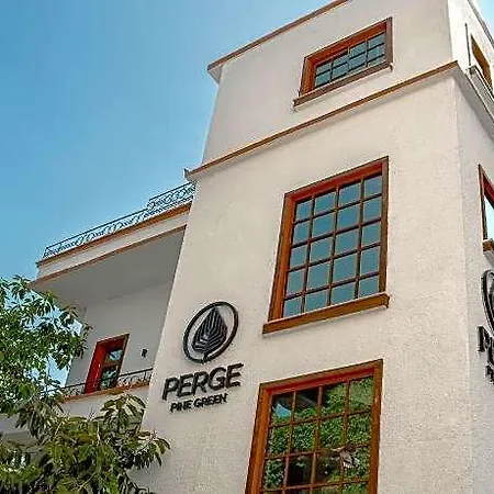 Perge Pine (adults Only)